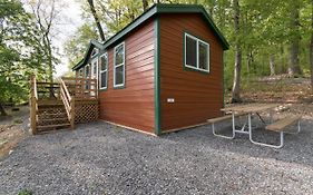 Spring Gulch Cottage 1
